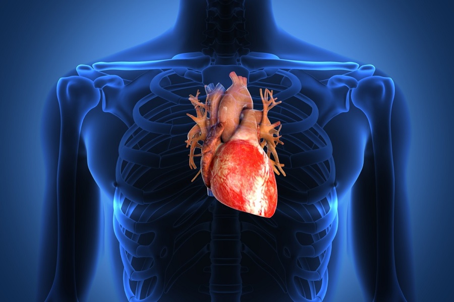 realtà aumentata--pacemaker cardiaci LCP