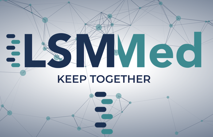 LSM-Med