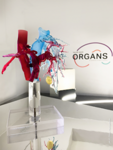 Tailor-made Organs
