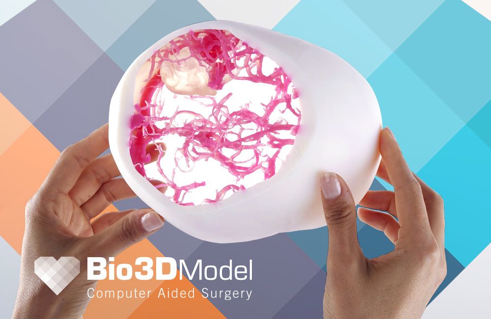 Bio3DModel