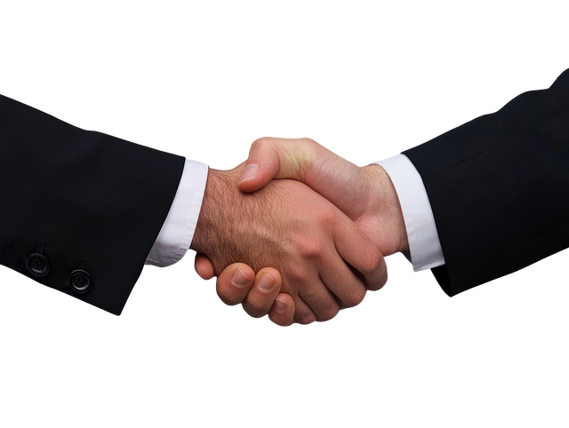 partnership-stretta di mano-Boehringer