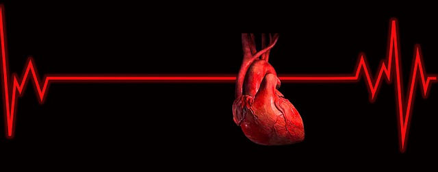 Scompenso cardiaco: tre algoritmi per prevedere la salute del cuore scompenso cardiaco