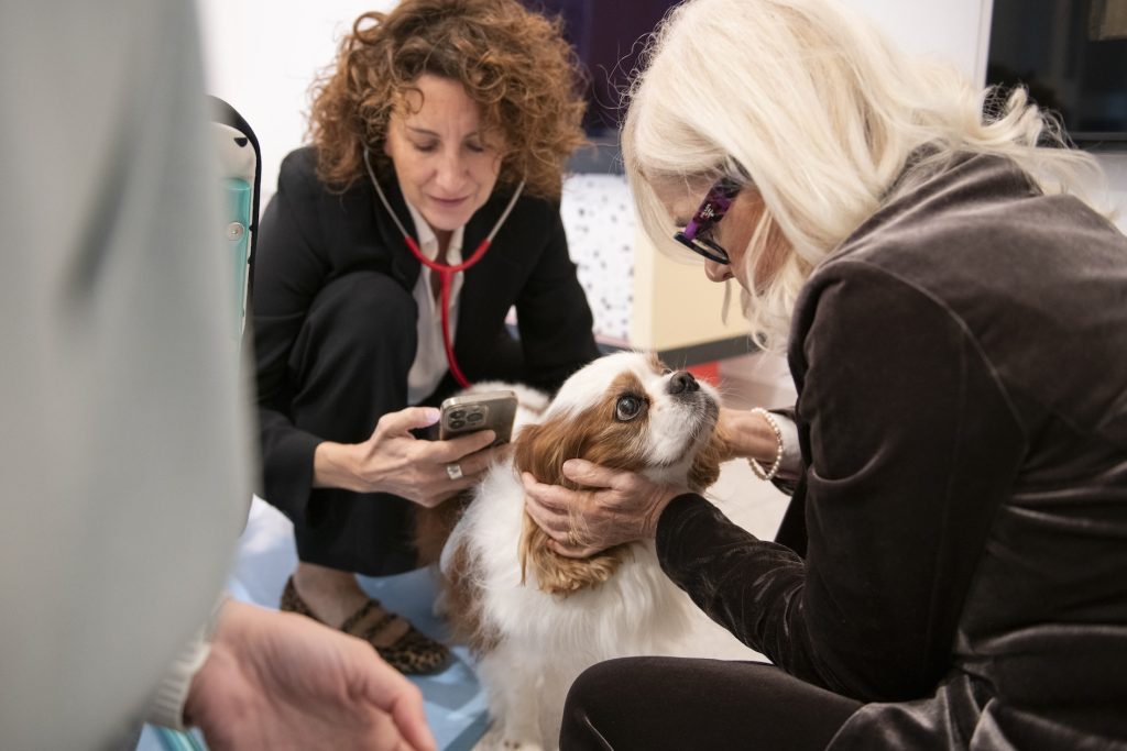 Boehringer Ingelheim: l’AI rileva precocemente i soffi cardiaci nei cani Boehringer Ingelheim-AI